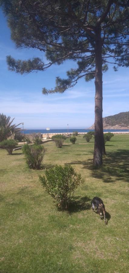 Maison De 4 Chambres De Front De Mer Corse-Du-Sud Appietto Kültér fotó